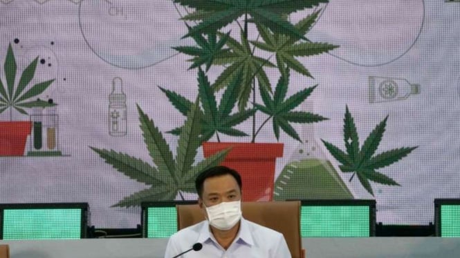 Menteri Kesehatan Thailand Anutin Charnvirakul umumkan penggunaan ganja legal