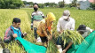 Photo Mini 1
