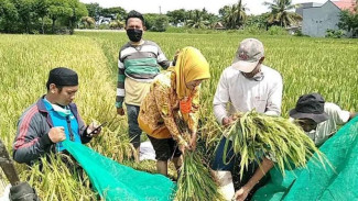 Pupuk Indonesia Gelar Safari Makmur Genjot Produktivitas Pertanian