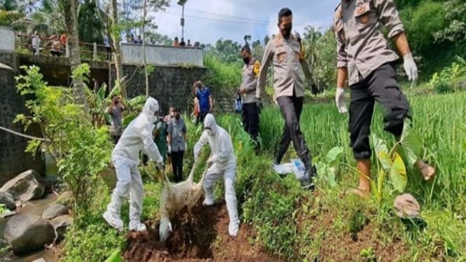 Petugas kuburkan bangkai kambing yang dibuang di sungai serang, Semarang