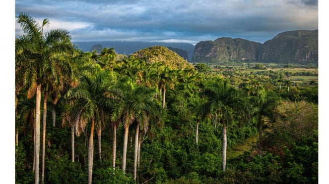 Vinales, Situs Satu Satu Warisan Dunia Unesco Di Kuba