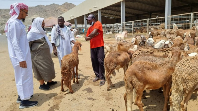 Pasar kambing An'am di Mekah