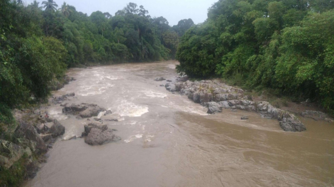 Fosil ditemukan di Geopark Merangin, Jambi.