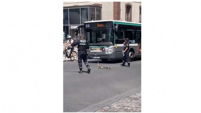 Video viral polisi Prancis bantu bebek menyebrang jalan