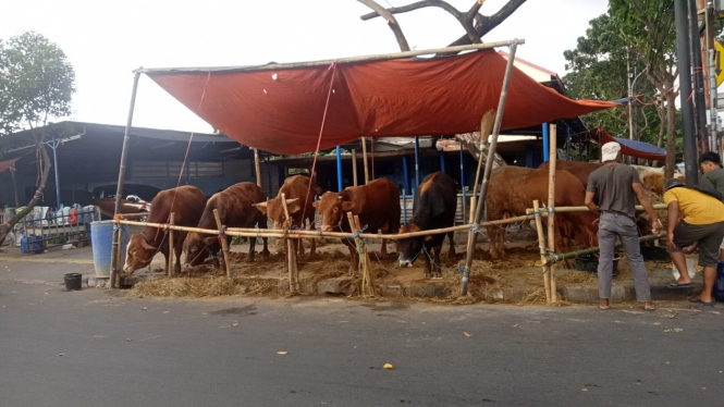 Pedagang hewan kurban gunakan fasilitas trotoar