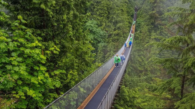 9 Scariest Bridges in the World