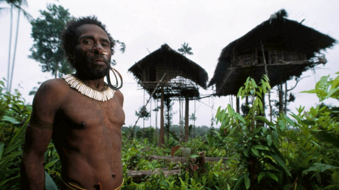 Suku Korowai di Papua yang terkenal dengan rumah pohon tinggi