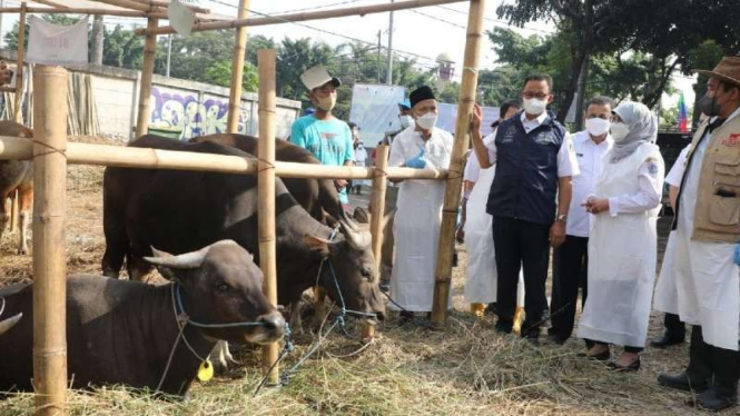 Gubernur Anies Baswedan bentuk tim pencegahan dan pendistribusian hewan kurban