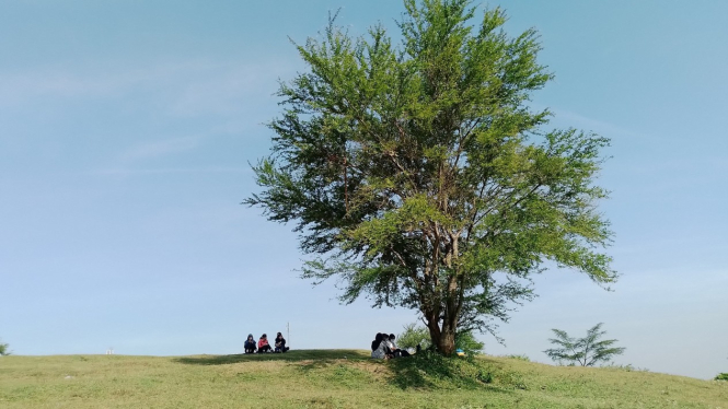 Padang savana di Semarang.