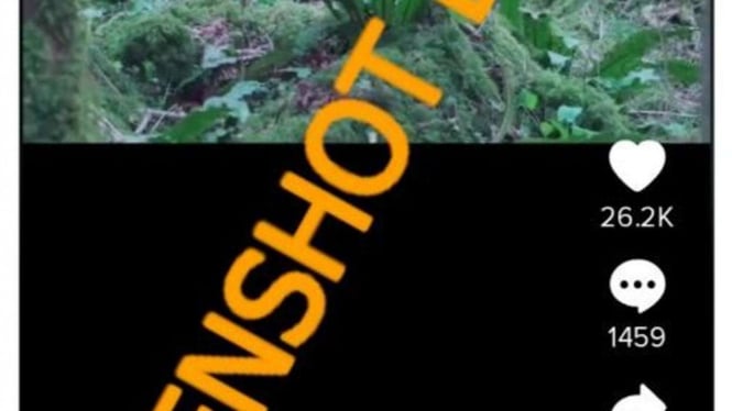Jepretan layar akun TikTok mengunggah sebuah video yang menunjukkan sosok makhluk mungil di hutan disertai dengan narasi yang menyatakan bahwa makhluk tersebut ditemukan oleh seorang pendaki.