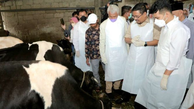 Plt Gubernur Jawa Timur Emil Dardak saat meninjau pusat peternakan sapi di Pasuruan.