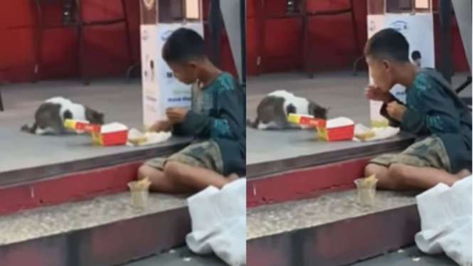 Viral seorang bocah laki-laki berbagi makanan dengan kucing