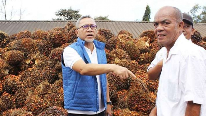 Menteri Perdagangan yang juga Ketua Umum PAN Zulkifli Hasan (kiri) berdialog dengan petani sawit saat meninjau pabrik pengolahan sawit di Lampung Tengah, Lampung, Sabtu, 9 Juli 2022.