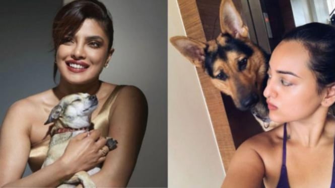 10 Momen Artis Bollywood Bersama Hewan Peliharaan: Kucing hingga Anjing