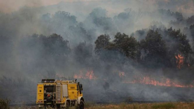 Kebakaran hutan di Spanyol dan Eropa akibat gelombang panas amat tinggi