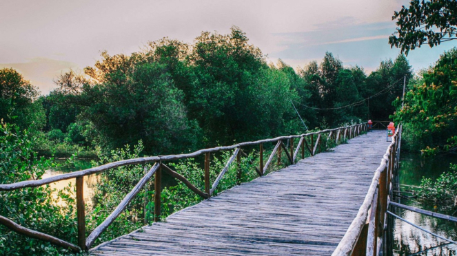 Hutan Mangrove Jakarta, Pantai Indah Kapuk