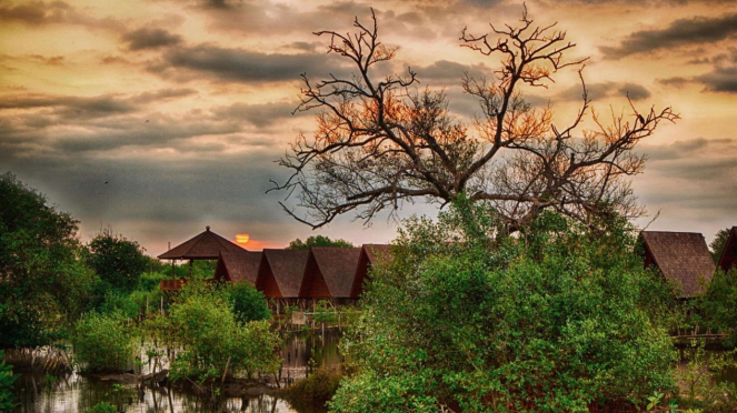 Hutan Mangrove Jakarta, Pantai Indah Kapuk