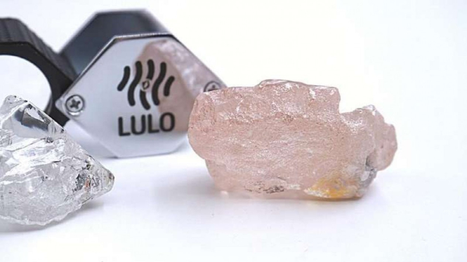 Berlian pink 170 karat terbesar ditemukan di Angola