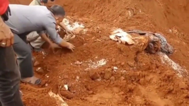Viral di medsos, ratusan paket yang diduga bantuan sosial dikubur di dalam tanah