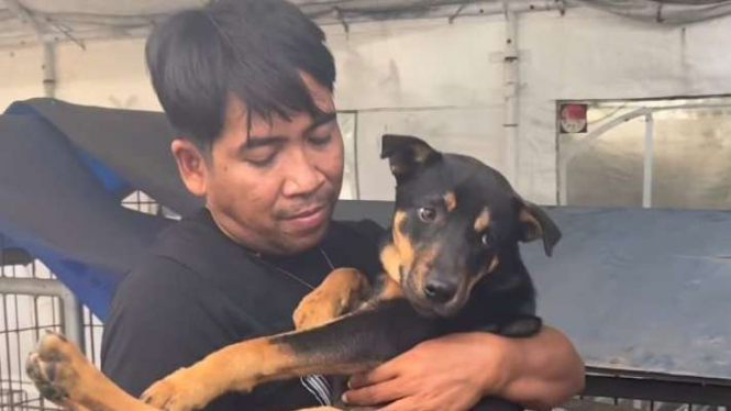 Seorang aktivis pencinta satwa menggendong seekor anjing yang bisa diselamatkan dari rumah jagal anjing usai penggerebakan bersama tim dari Polrestabes Surabaya, Minggu, 31 Juli 2022.