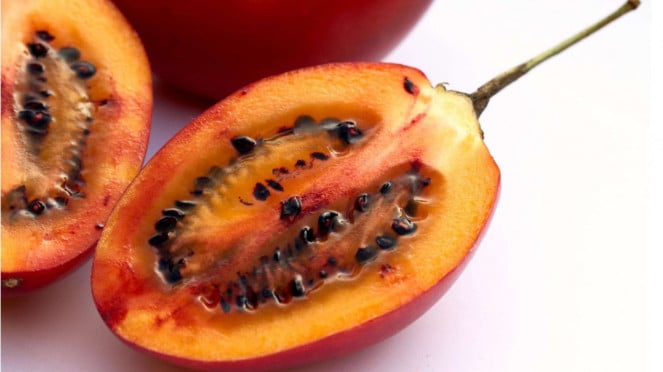 Tamarilo