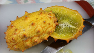 Rarely Seen, here are 5 Unusual Fruits in the World