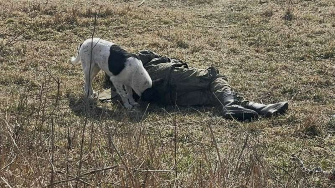 VIVA Militer: Mayat tentara Rusia jadi santapan anjing liar