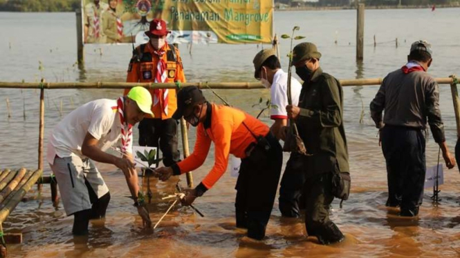 Ganjar Pranowo menanam pohon mangrove