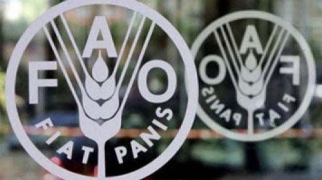 Logotipo de la Organización para la Agricultura y la Alimentación (FAO).