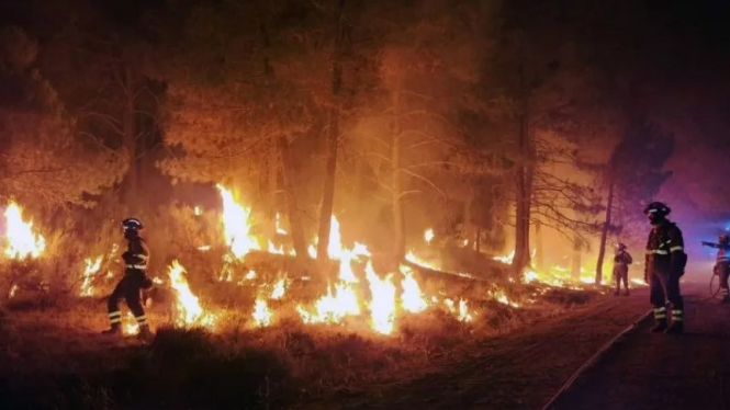 Kebakaran hutan di Spanyol.