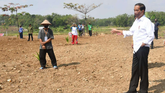 Presiden Jokowi di Provinsi Jawa Tengah.