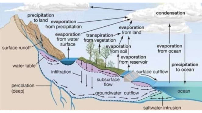 3 Proses Terjadinya Hujan beserta Jenis dan Penjelasannya