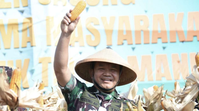 VIVA Militer: Kasad Jenderal TNI Dudung Abdurachman panen Jagung di Sukabumi