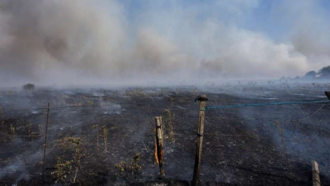 Kebakaran hutan parah di bagian barat Spanyol