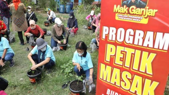 Relawan Mak Ganjar launching bantuan puluhan ribu pohon cabai di Jakarta