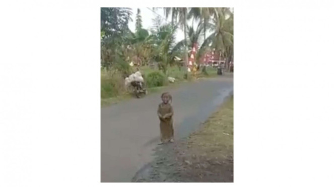 anak kecil bermandikan lumpur