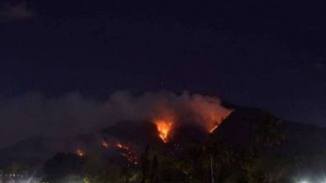 Ilustrasi - Kebakaran hutan dan lahan melanda kawasan Gunung Ile Mandiri, NTT.