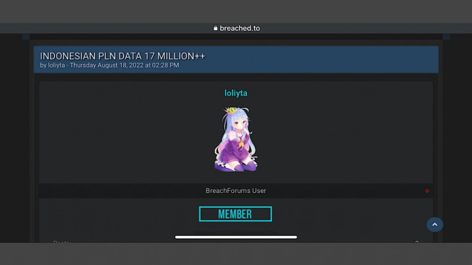 Dugaan kebocoran data pelanggan PLN.