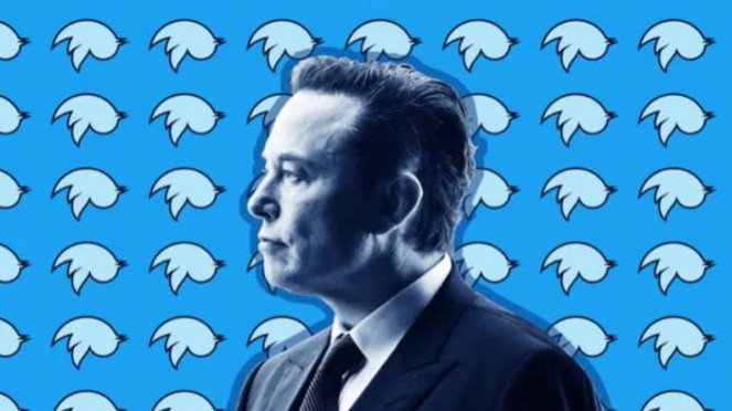 Elon Musk, CEO Twitter.