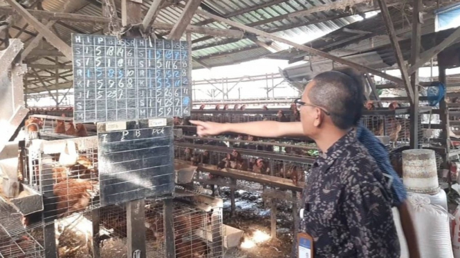 Kepala KPPU Kanwil I Medan, Ridho Pamungkas saat tinjau pasokan harga telur.