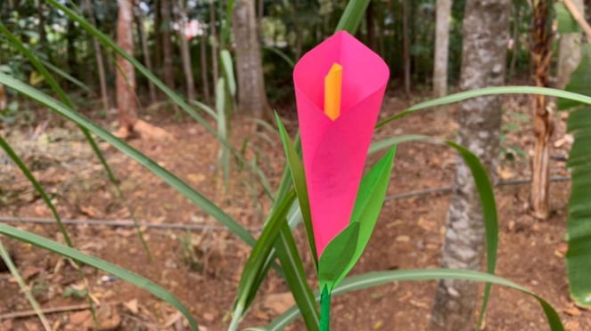 Bunga Lily dari kertas origami