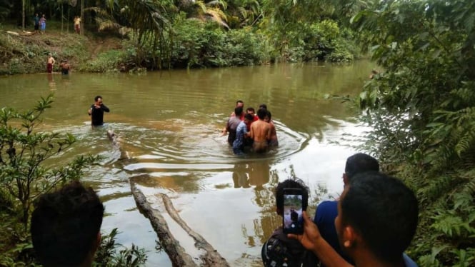 Evakuasi Seorang Ibu yang Diterkam Buaya di Mandailing Natal Sumut
