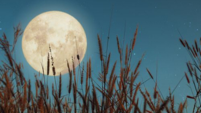 Bulan Purnama atau Harvest Moon.