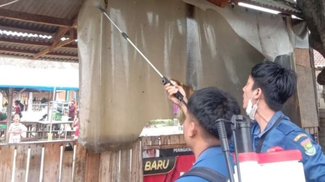 Petugas BPBD Kabupaten Tangerang membersihkan hama ulat bulu di Cikupa.
