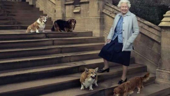 Ratu Elizabeth II dengan anjing corginya Muick dan Sandy dan anjing lainnya