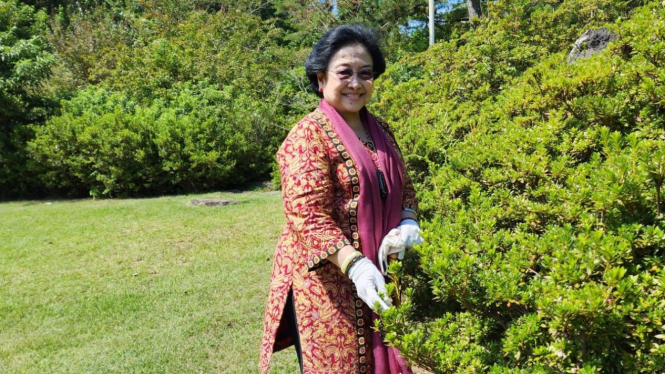 Megawati Soekarnoputri Menanam Pohon di Jeju, Korea Selatan