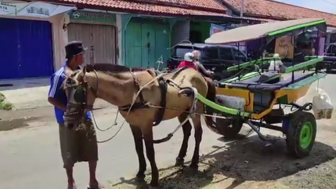 Kusir Delman Ikut Naikkan Tarif Harga Pakan Tambah Mahal