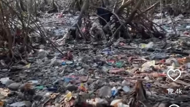 Lautan sampah di aliran sungai mangrove di Bali Selatan tahun 2021