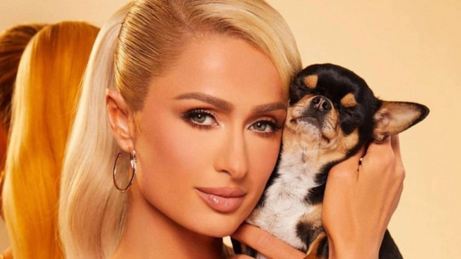 Paris Hilton dan anjingnya, Diamond Baby