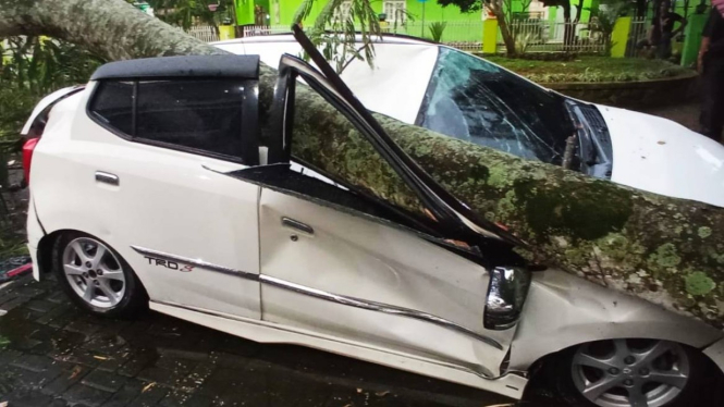 Kondisi mobil yang tertimpa pohon di RSUP Adam Malik, Kota Medan.